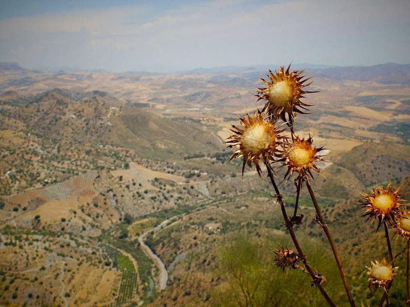 Sapphire Shores Extension