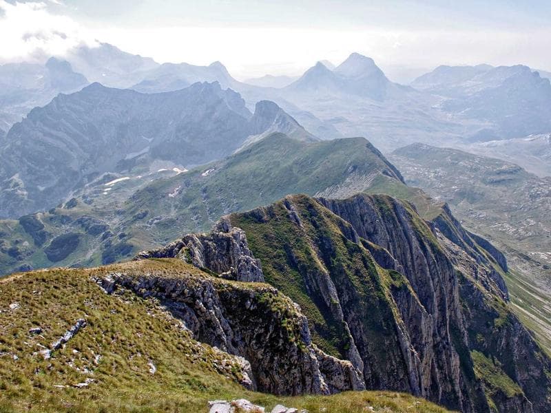 Tulip Fields Extension