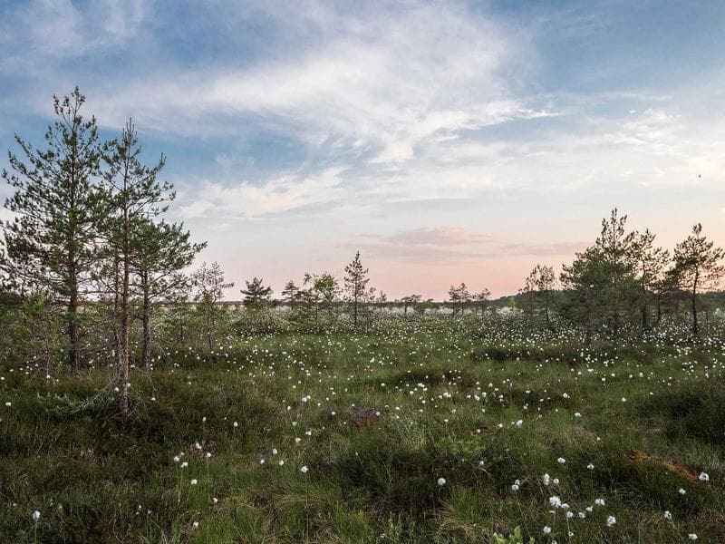 Plot Plot for Sale in Banjara Hills