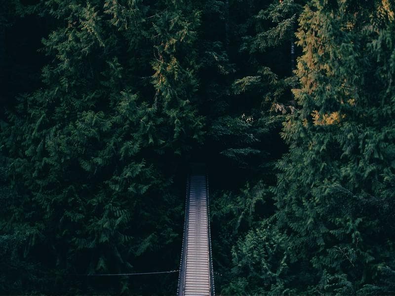 Plot Plot with Servant Quarter