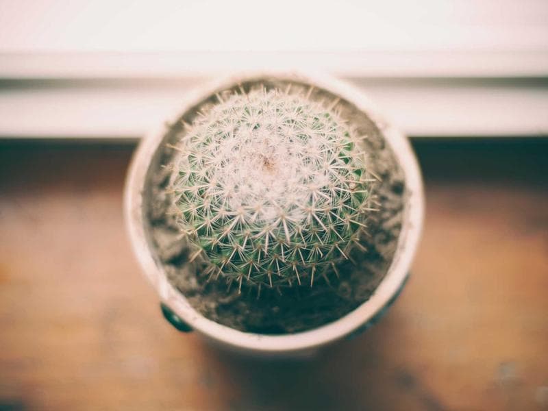 Smart Home 3 BHK Independent House with Automation