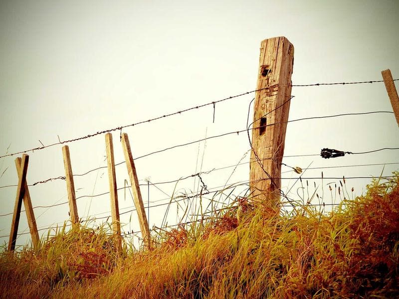 Corner 1 BHK Builder Floor with Garden View