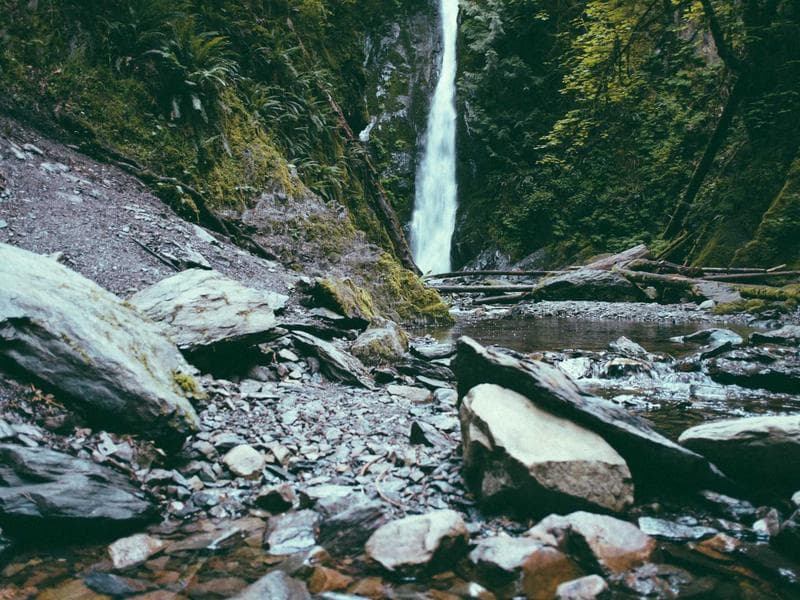 Park Facing 5 BHK Independent House in Phase 4