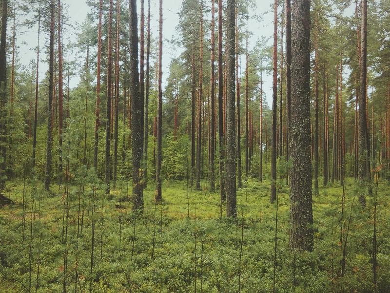 Family Friendly Commercial Commercial Showroom Near School