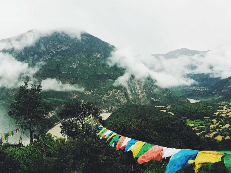 Investor Special Commercial Commercial Shop in Alipore