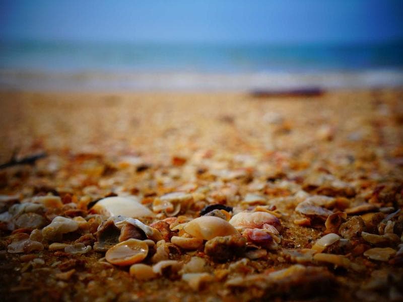 Commercial Commercial Showroom with Car Parking Space