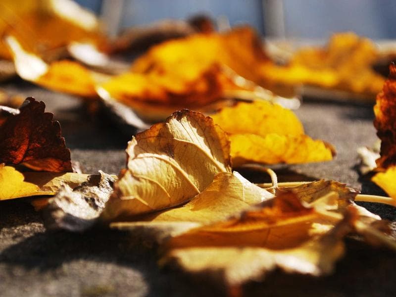 3 BHK Penthouse Near Metro Station