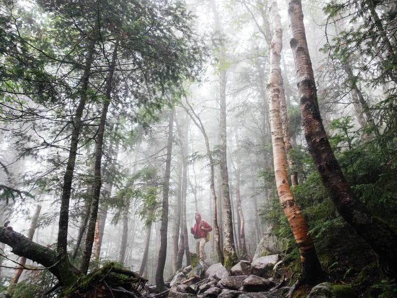 Sea View Commercial Commercial Shop in Premium Tower