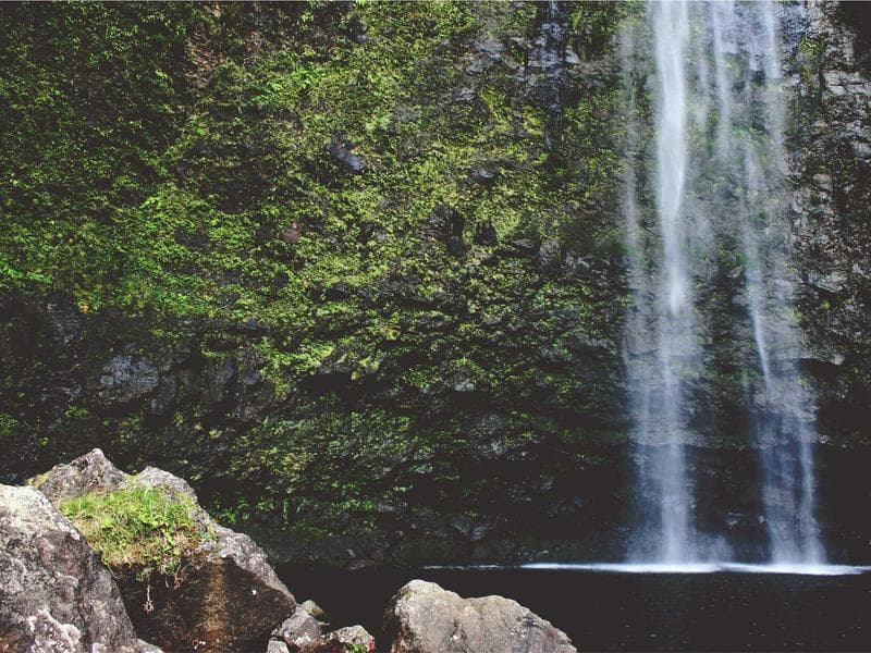 Bronze Gate Extension