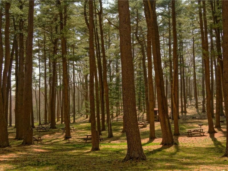 Investor Special 2 BHK Penthouse in Patel Nagar