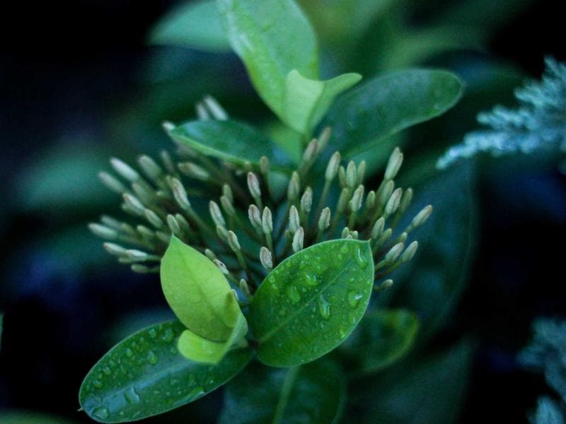 Premium Commercial Commercial Office near Near Power Grid