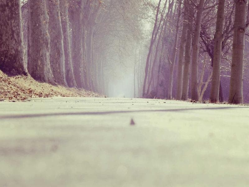 Commercial Warehouse with Servant Quarter