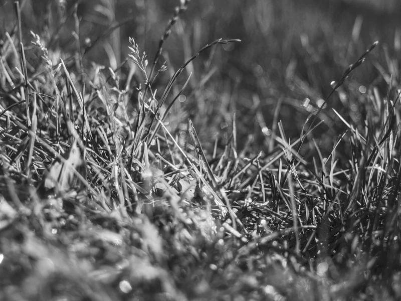 Fully Furnished 4 BHK Penthouse Ready to Move