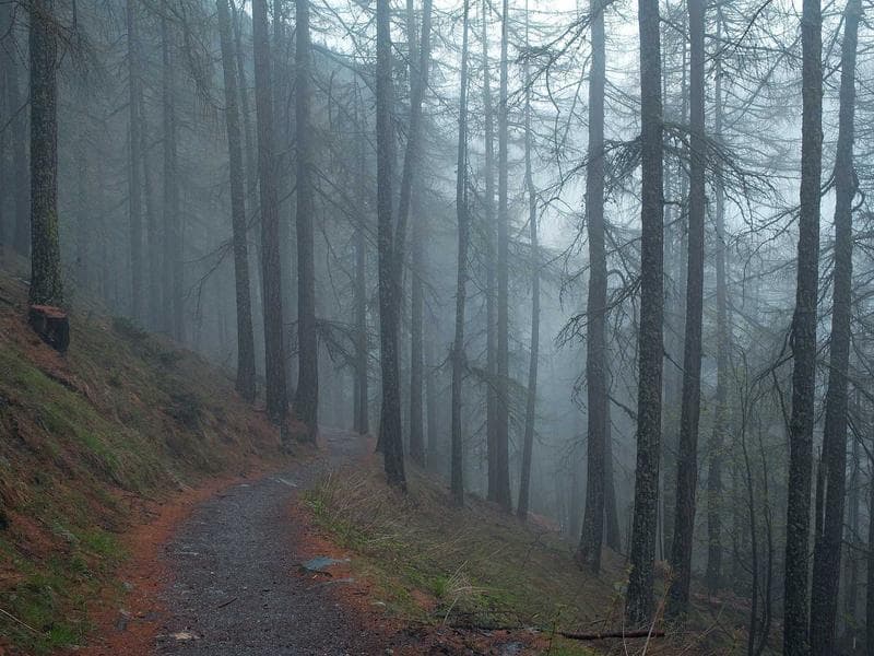 4 BHK Independent House in Award Winning Project