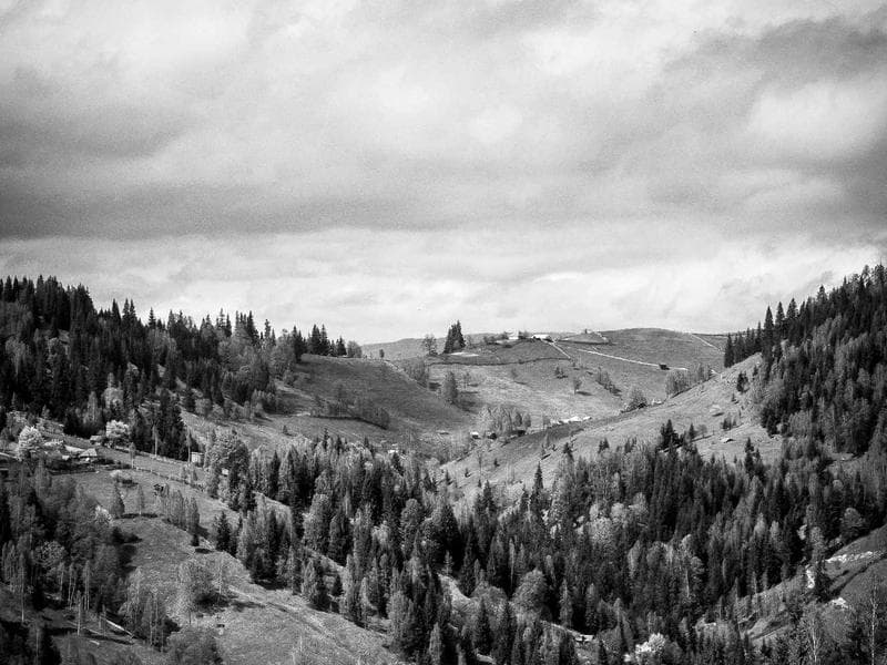 Newly Painted 2 BHK Farmhouse Ready to Move