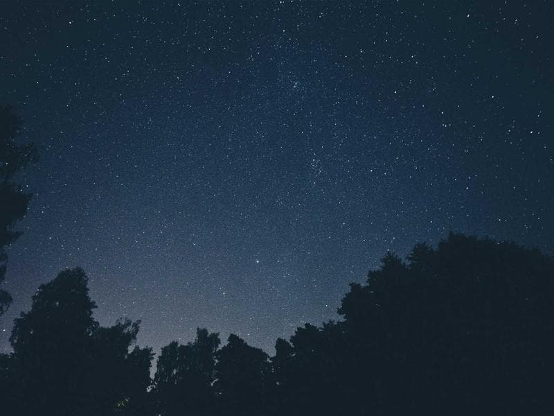 Duplex Commercial Commercial Office in Kanpur