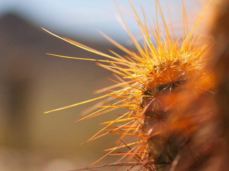 Emerald City Phase 2