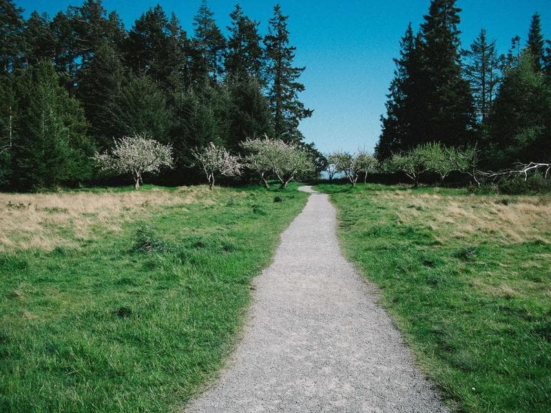Commercial Warehouse with Modular Kitchen