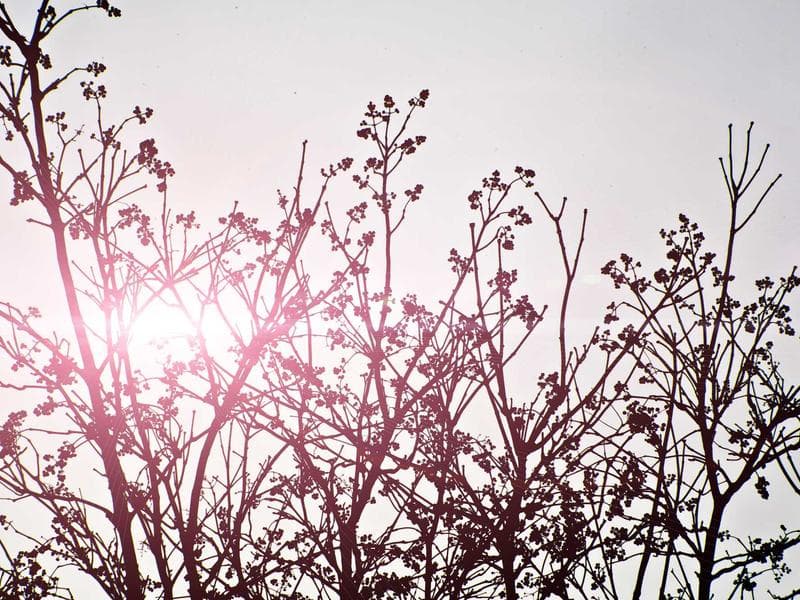 4 BHK Penthouse with Terrace in Thane