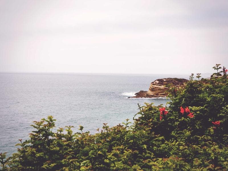 Commercial Commercial Showroom with Swimming Pool Access