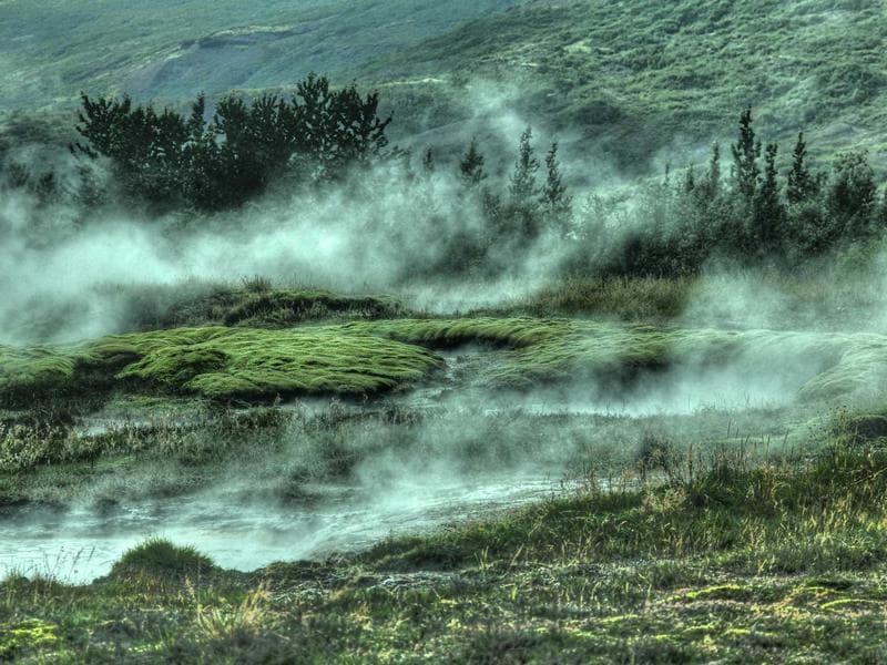 Renovated 1 BHK Farmhouse in Old City Area