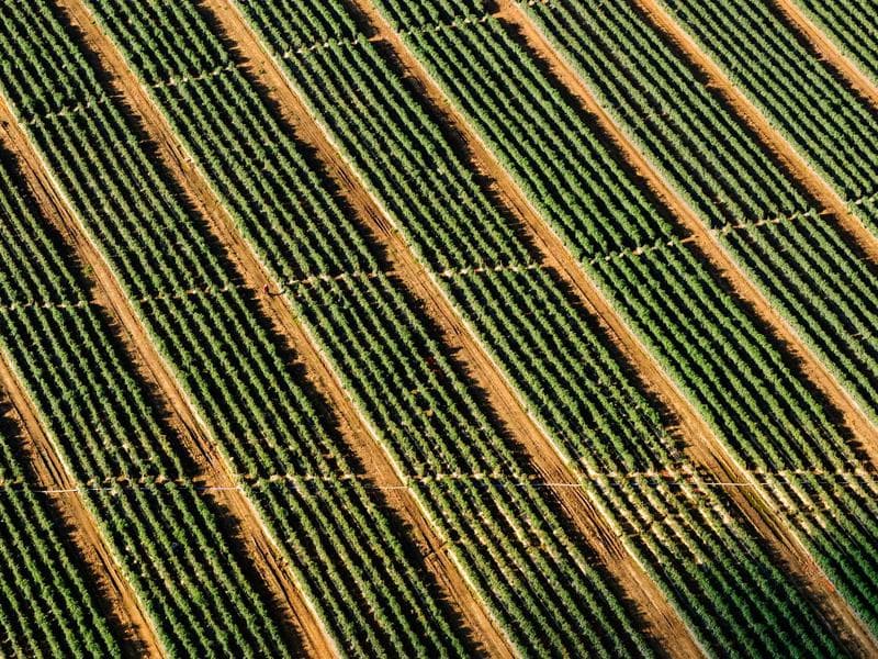 Ready Possession 1 BHK Flat in Gandhi Nagar