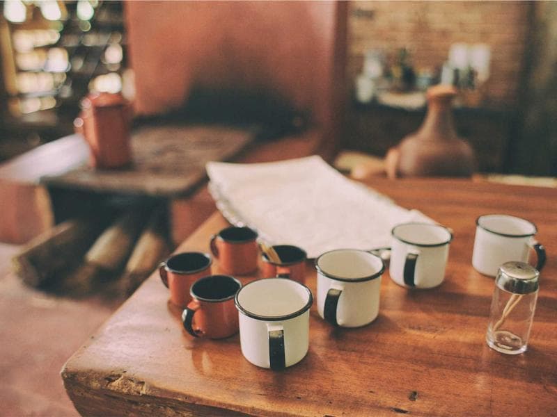 Investor Special 3 BHK Farmhouse in Sector 15