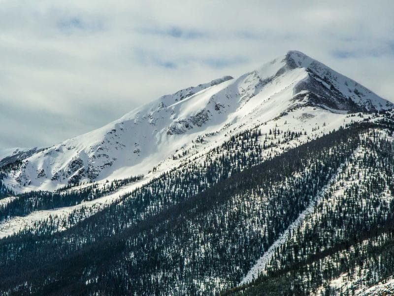 3 BHK Flat with Balcony and View