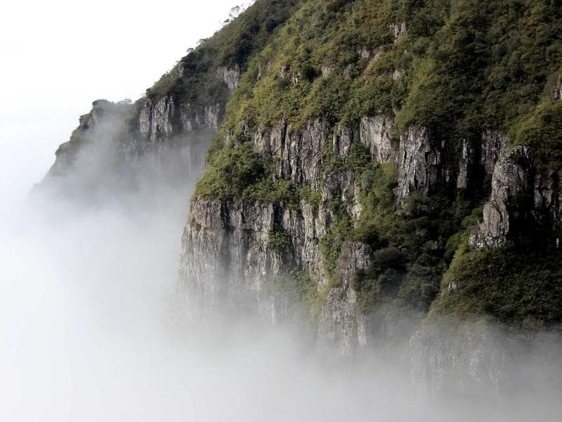 Ground Floor Commercial Commercial Showroom with Garden