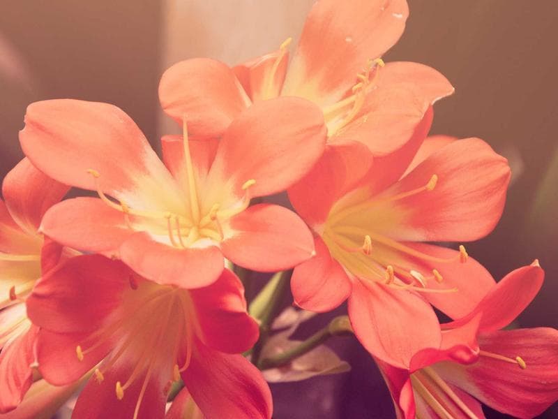 Commercial Warehouse with Terrace in Gwalior