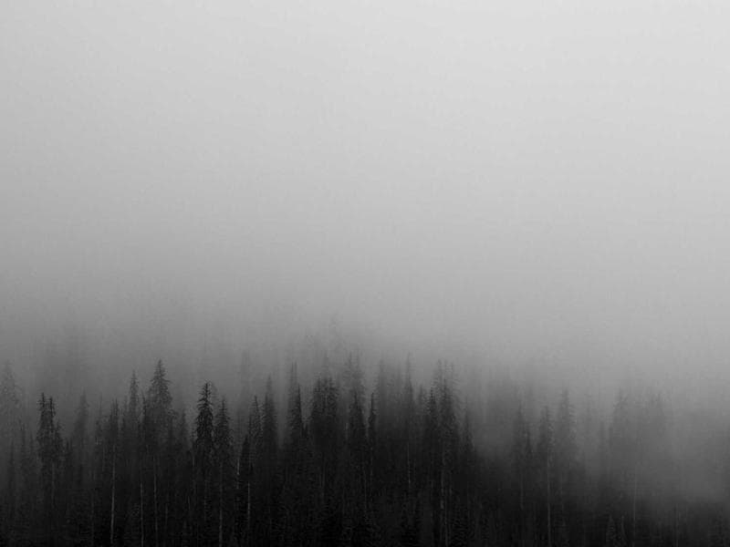 Commercial Commercial Office with Modular Kitchen