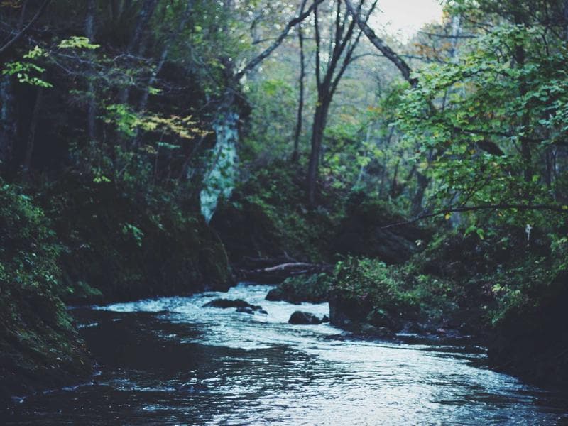 Commercial Commercial Office with Balcony and View