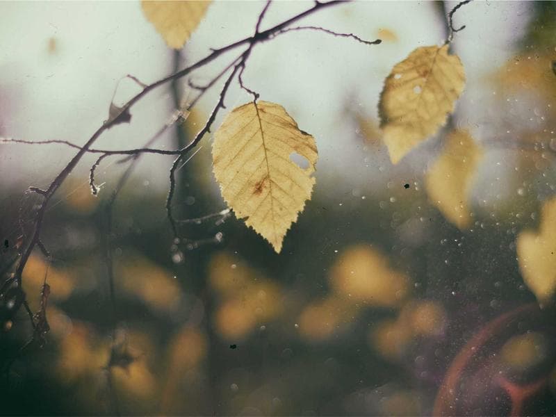 High Floor 4 BHK Penthouse with City View