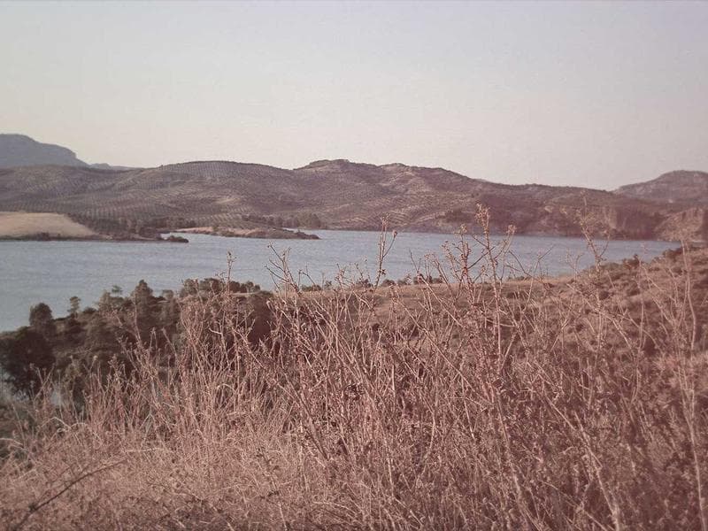 Dosti Realty Estates cover