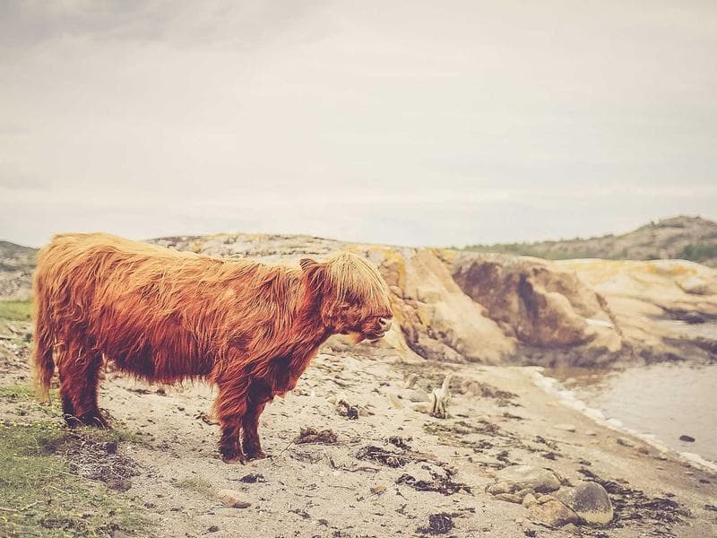 High Floor 2 BHK Villa with City View