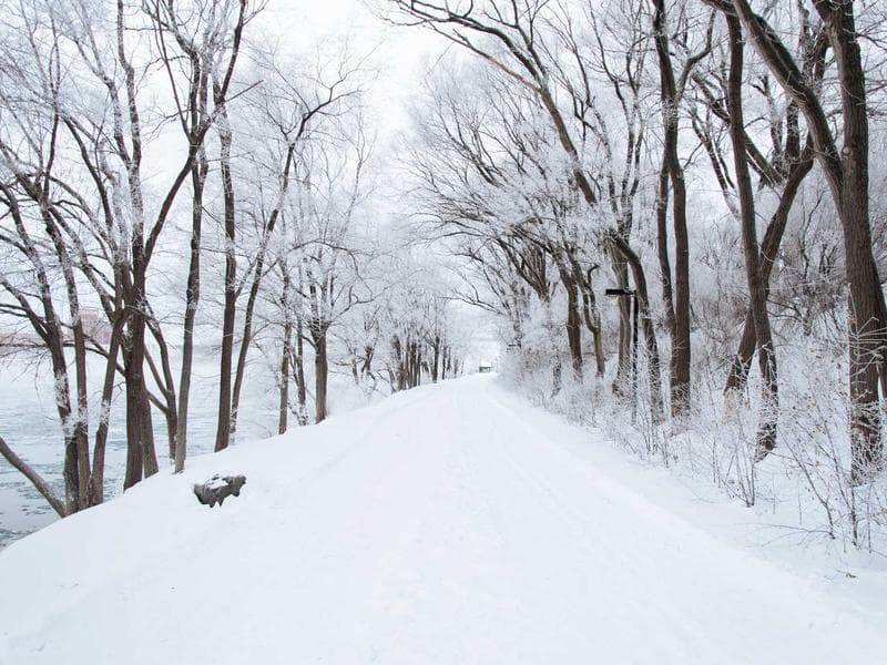 Smart Home 2 BHK Penthouse with Automation