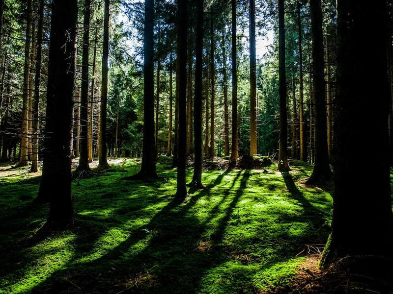 Commercial Commercial Showroom in IT Corridor, Guwahati