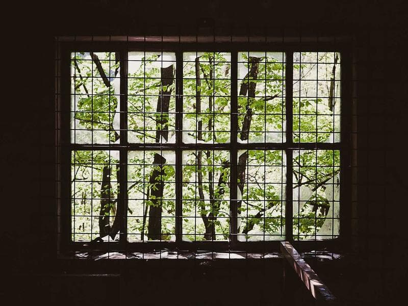 Corner Commercial Commercial Office with Garden View