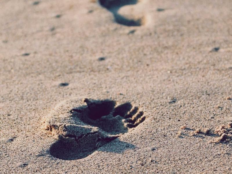 Ready Possession Commercial Commercial Showroom in Bandra East