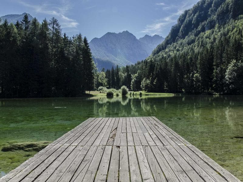 Well-Maintained Commercial Commercial Shop in Electronic City