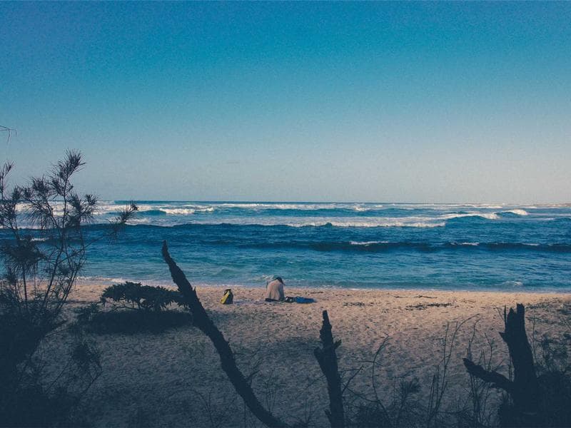 Plot Plot with Club Membership